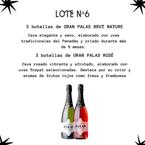 Lote Celebración con cava Gran Palas Brut Nature y Gran Palas Rosé
